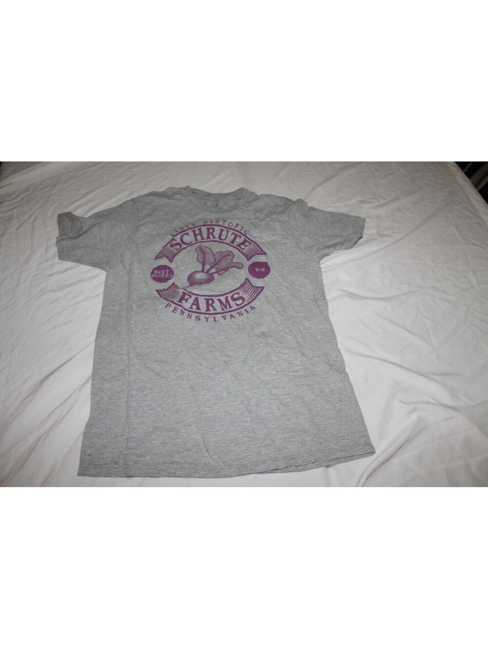 The Office Schrute Farms Gray - Medium